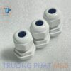 Ốc siết cáp PG9